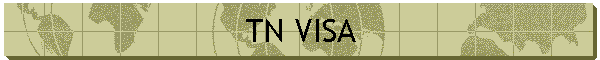 TN VISA