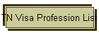 TN Visa Profession List
