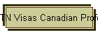 TN Visas Canadian Professionals